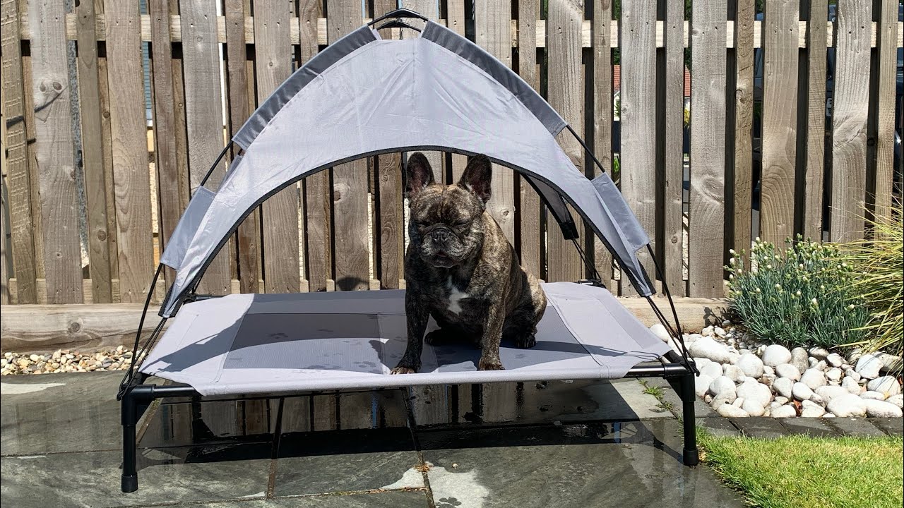 Lidl Zoofari Dog Bed with Shade review - Malcolm in the Middle Aisle