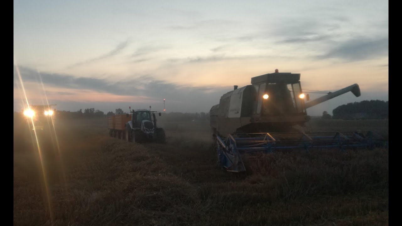 Żniwa Pszenicy /Valtra T/ Fortschritt/Claas