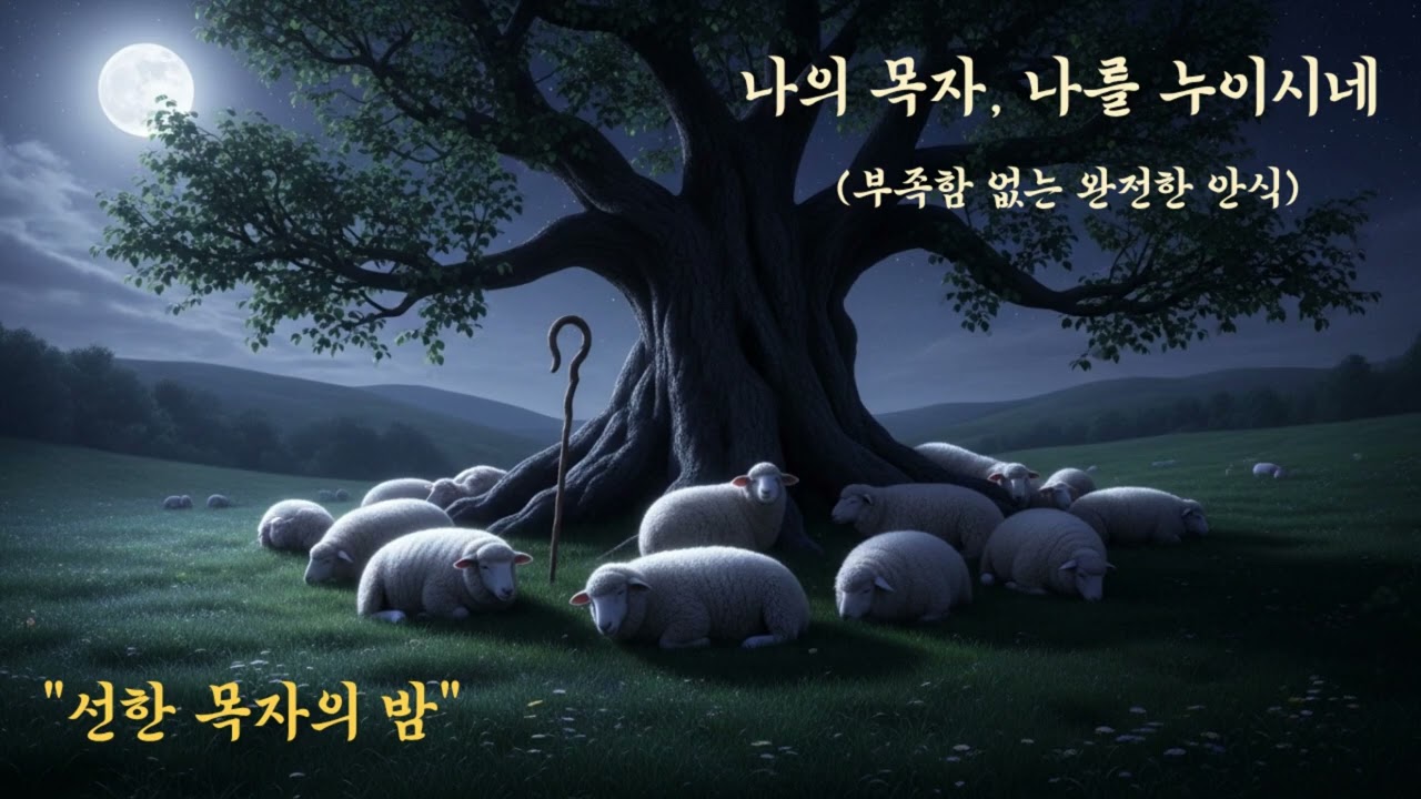 선한 목자의 밤 (Night of the Shepherd) | 은혜로운 찬양 플레이리스트 | J.K 워쉽