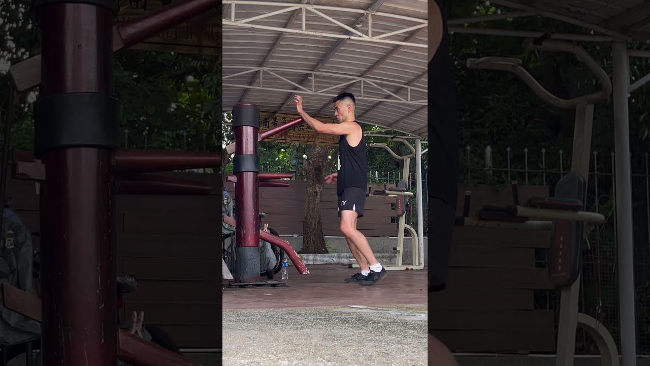 Hung Gar Kuen Form On Choy Lay Fut Wooden Dummy #shorts