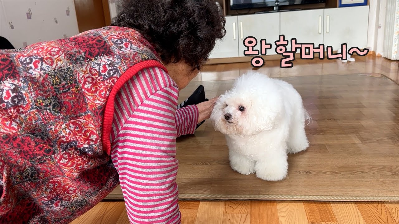 순덕삼 영상 기다려주셔서 감사합니다🙏🏼  [2024년 설날]