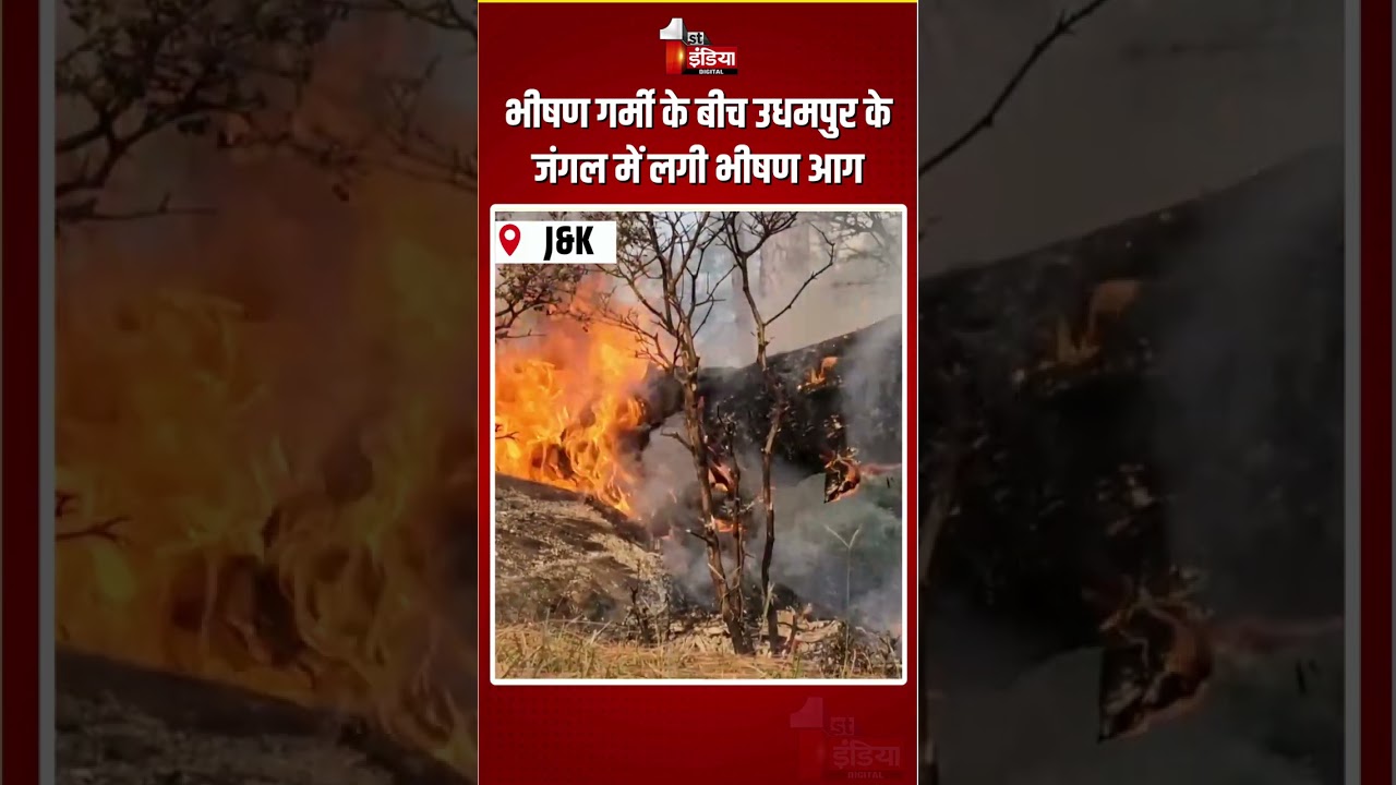 Udhampur Forest Fire: भीषण गर्मी के बीच उधमपुर के जंगल में लगी भीषण आग | Massive Fire Breakout | J&K