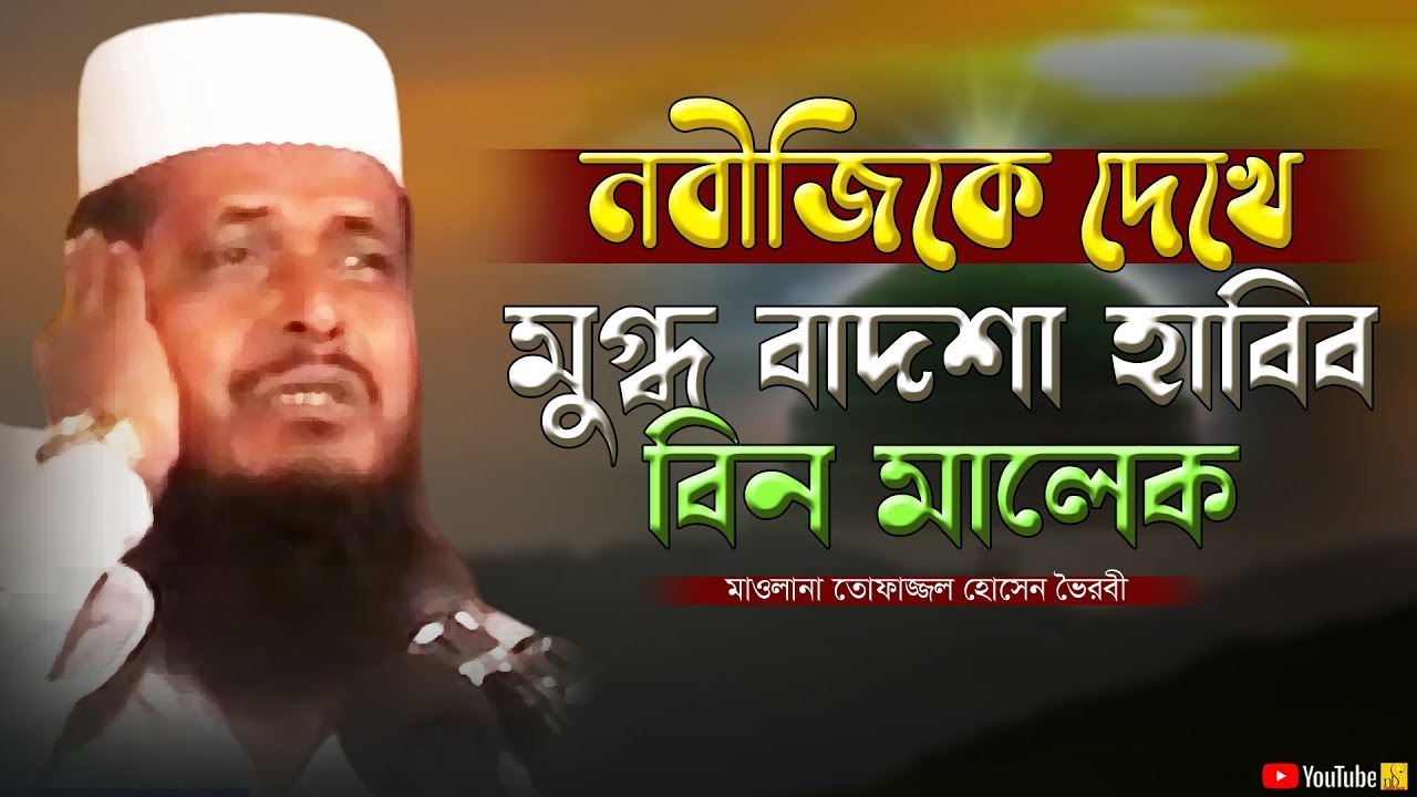 নবীজিকে দেখে মুগ্ধ বাদশা হাবিব বিন মালেক | মাওলানা তোফাজ্জল হোসেন | Tofazzal Hossain | Bangla Waz