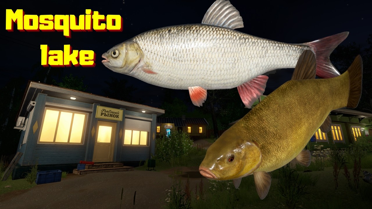 Jaź Ide Lin Tench Mosquito lake Komarówka (77) | Russian Fishing 4