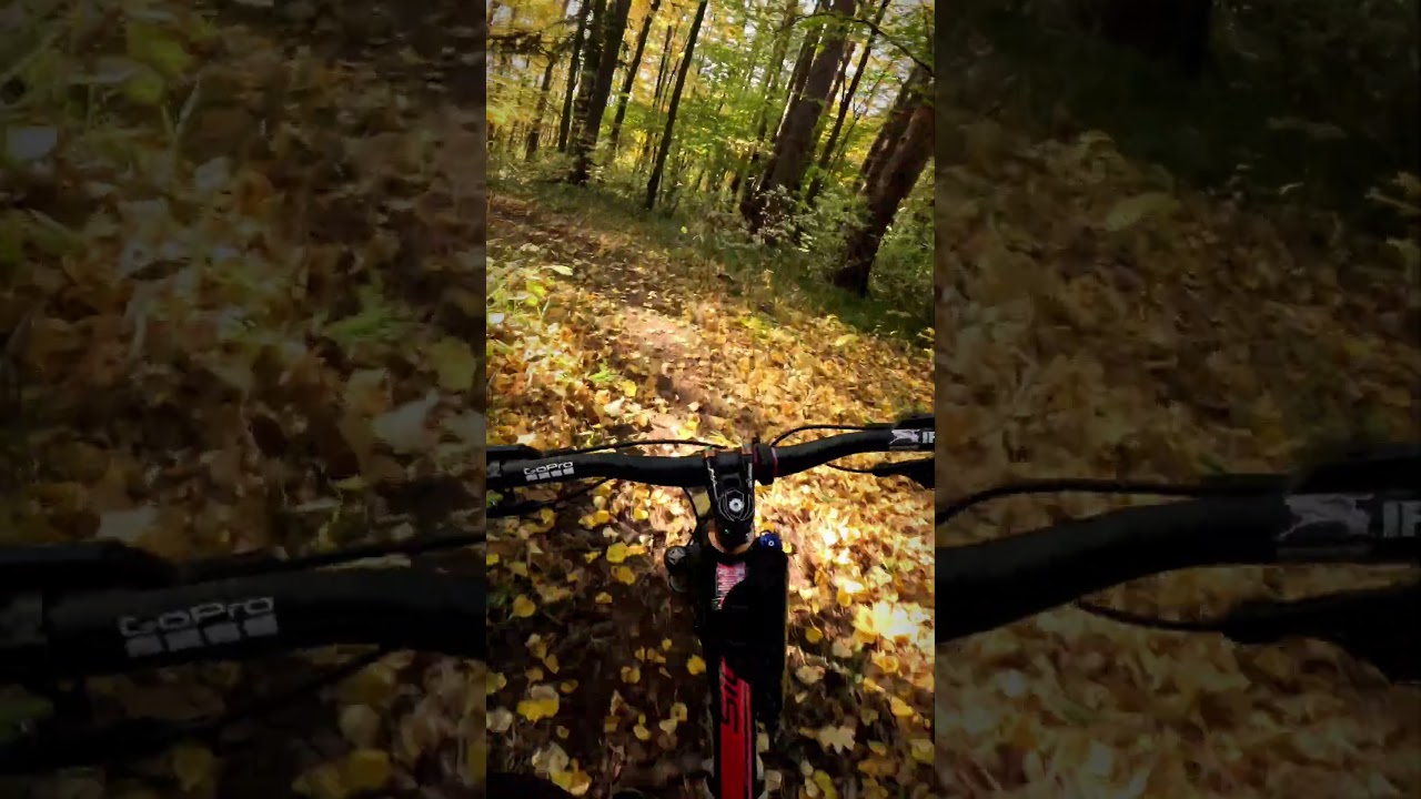 MTB Цвет настроения yellow.