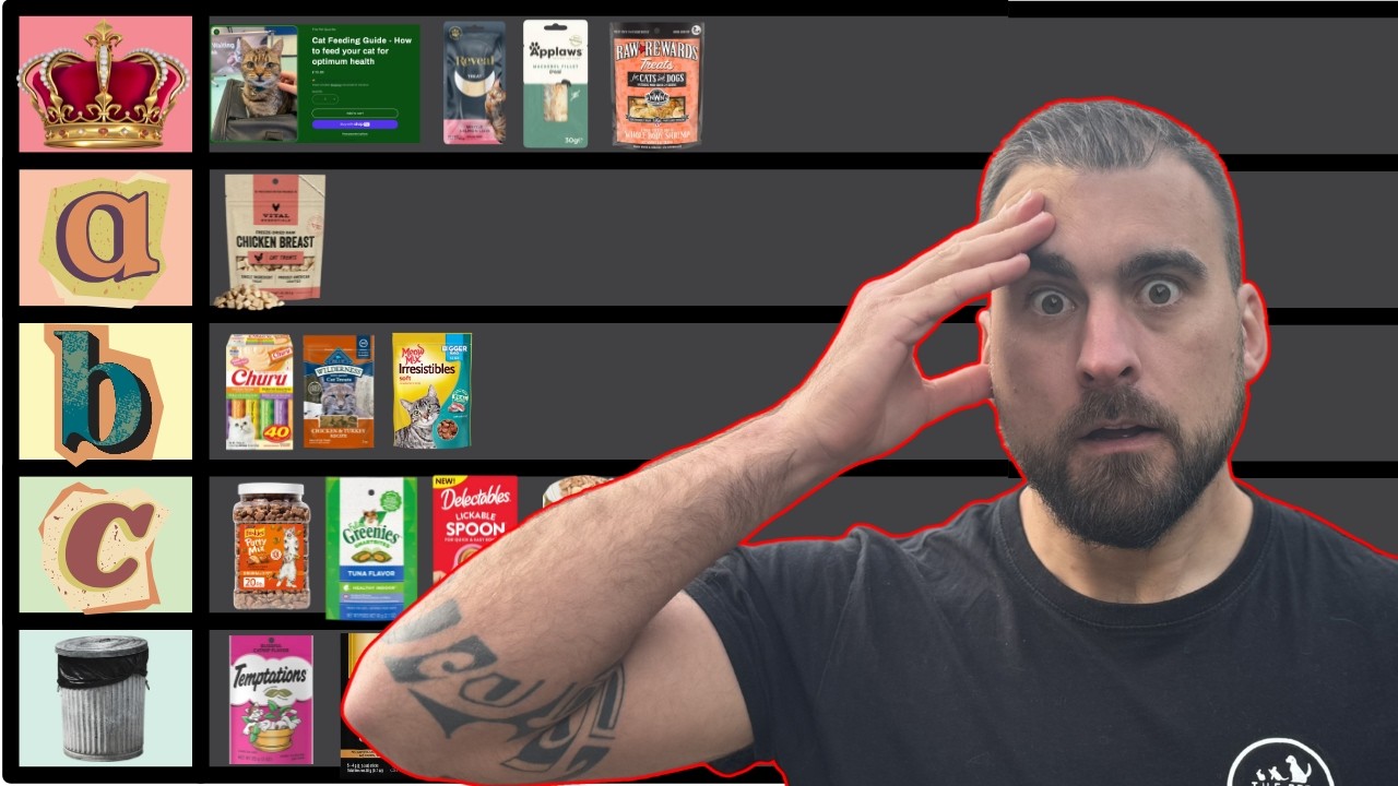 Cat Nutritionist Ranks The Best Cat Treats