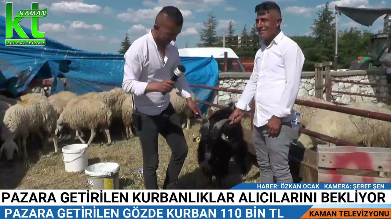 Kurban Pazarı 2023 - Kurbanlık Fiyatları #kaman