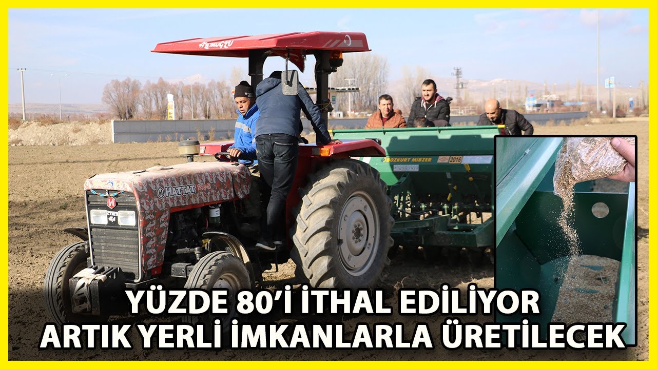 Afyonkarahisar, Türkiye'nin Tıbbi Papatya Üretim Üssü Olacak