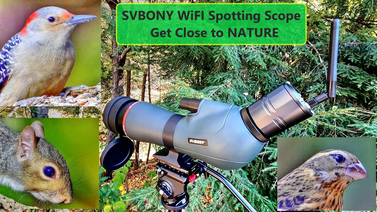 Обзор зрительной трубы SVBONY SV406P 16-48x65mm ED с WiFi-камерой SC001