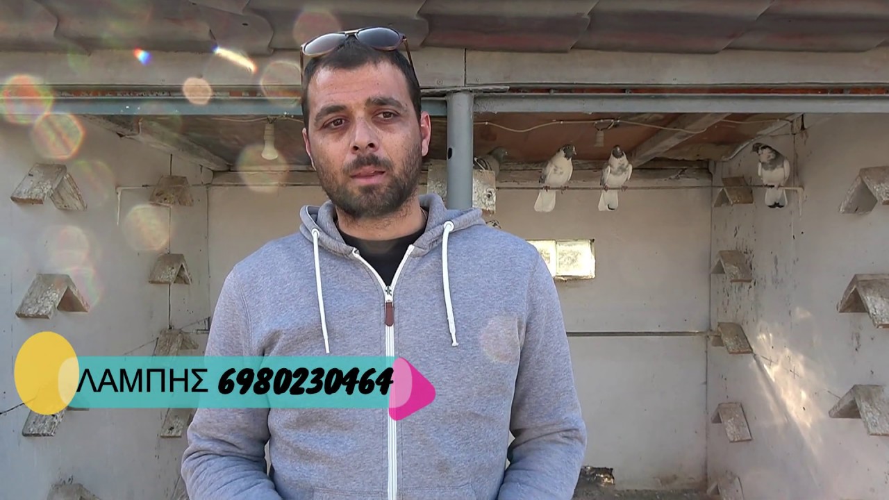 ΛΑΜΠΗΣ ΑΛΕΞΑΝΔΡΕΙΑ ΠΕΤΑΕΙ ΜΕΤ ΕΜΠΟΔΙΩΝ 2019