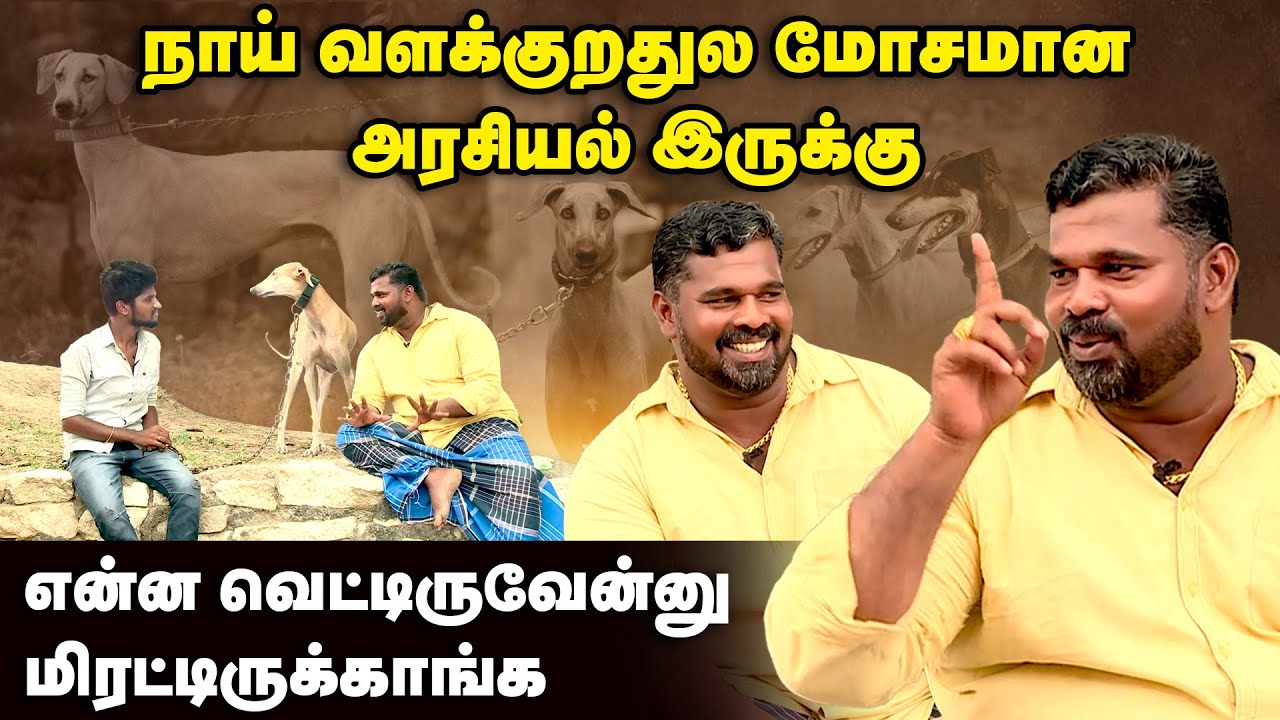 Exclusive: நாய் வளக்குறதுல மோசமான அரசியல் இருக்கு - ஆமூர் பிரபு | Kanni Dog | Amoor Prabhu