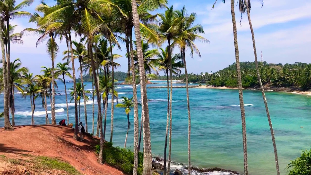 World famous Coconut Hill, Mirissa, Sri Lanka.. Paradise
