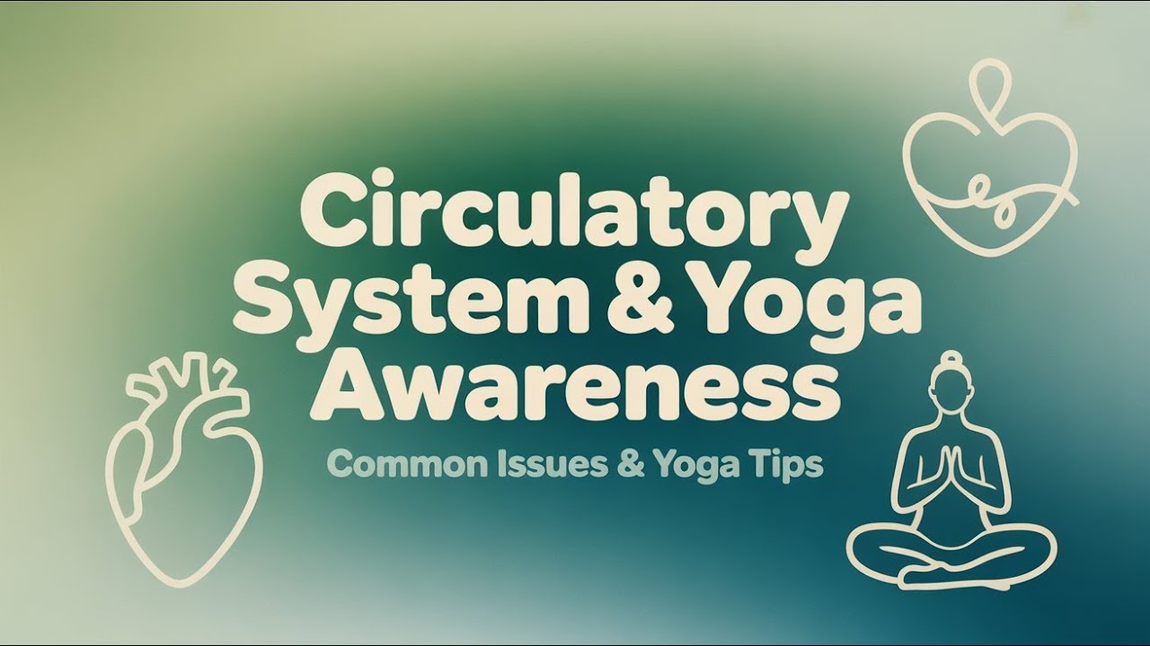 Overview of the Circulatory System part 4 | Yoga & Wellness Awareness
