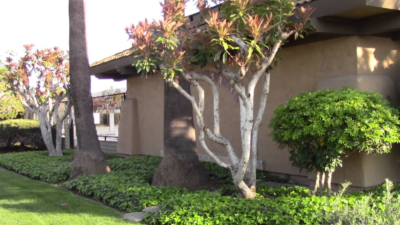 Bishop Place Townhomes Westminster - Real Estate For Sale