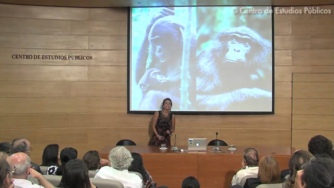 Isabel Behncke: Los Juegos de Nuestros Primos, los Bonobos