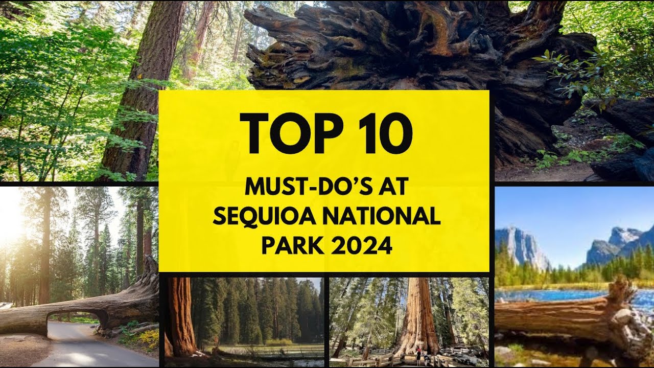 Top 10 Must Do's in Sequoia National Park 2024
