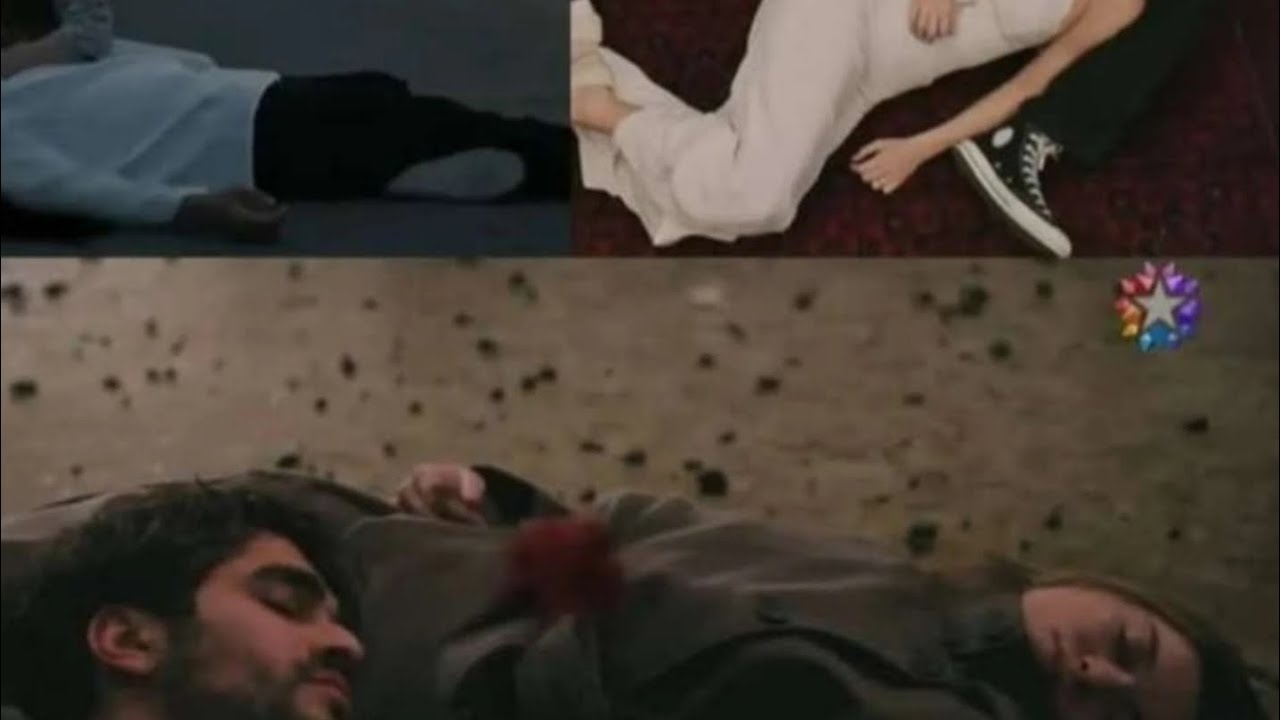 سيران و فريد #الطائر_الرفراف Seyran & Ferit #seyfer #yalıçapkını خد بالك عليا 😭😭💔💔#اليسا