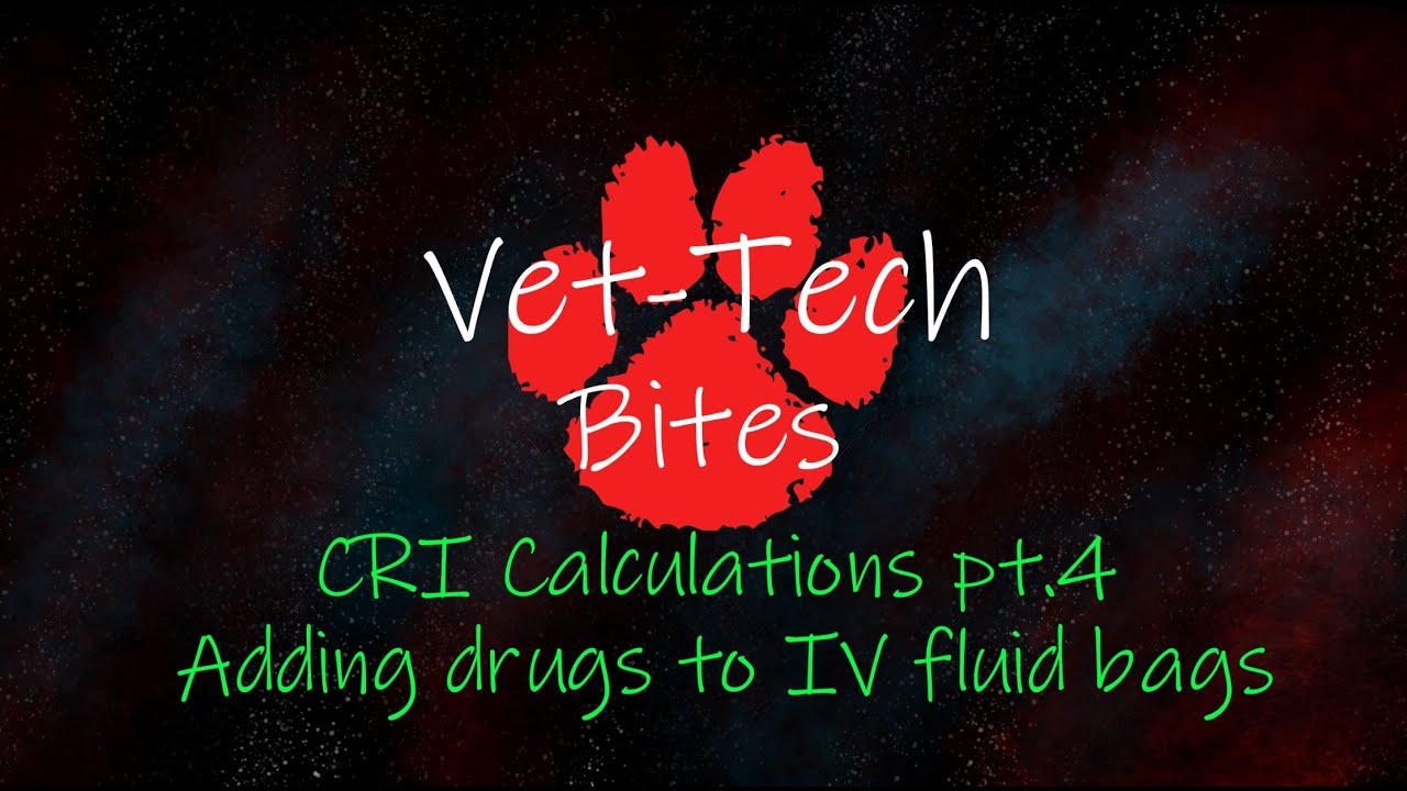 Vet-Tech Bites | CRI Calculations pt.4: Adding medications to IV Fluid bags