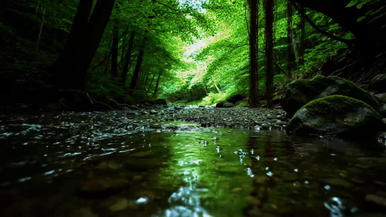 Magical Forest Atmosphere With Flowing Water And Birds | Soothing ASMR For Sleep