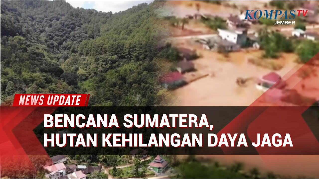 Alarm Merah! Bencana Sumatera Makin Parah, Hutan Kehilangan Daya Jaga?