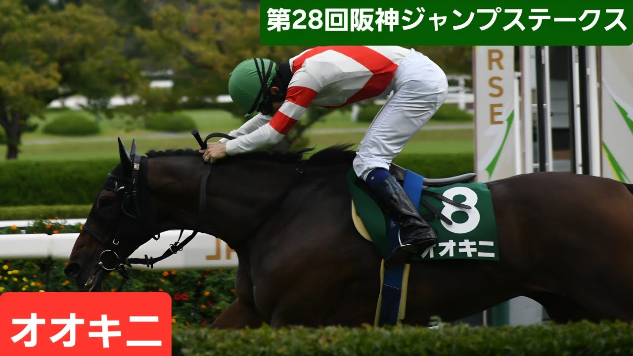 【現地映像】2026年第28回阪神ジャンプステークス（J･GⅢ）優勝馬オオキニ号