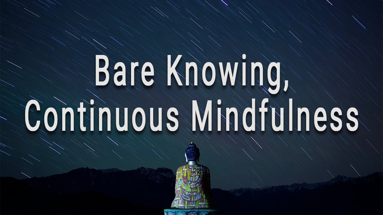 Bare knowing Continuous Mindfulness (#5 The Four Foundations of Mindfulness) by Joseph Goldstein
