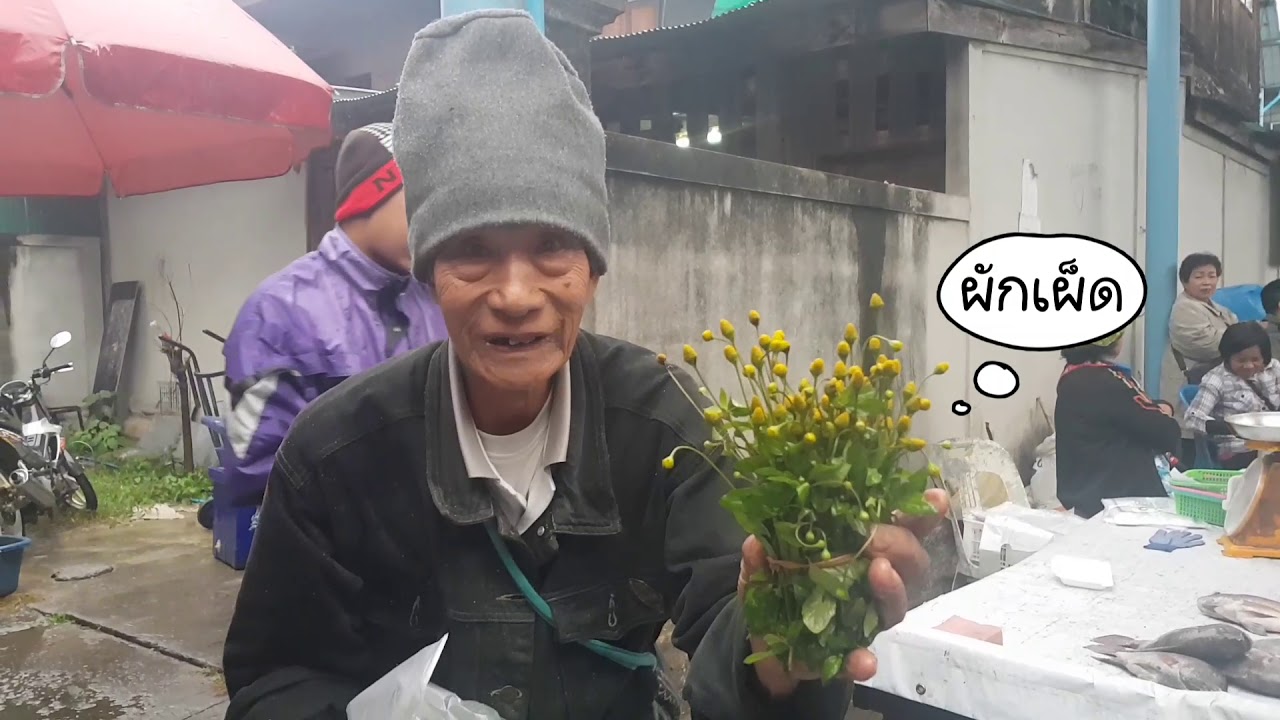เจ๊ต้อยชมตลาด EP2 แวะตลาดงาว ลำปาง ชมกาด ลองชิมอาหารเมืองเหนือ