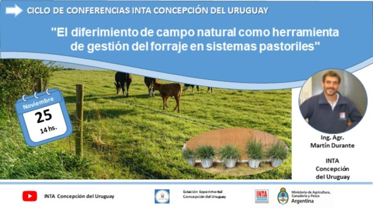 El diferimiento de campo natural como herramienta de gestión del forraje en sistemas pastoriles