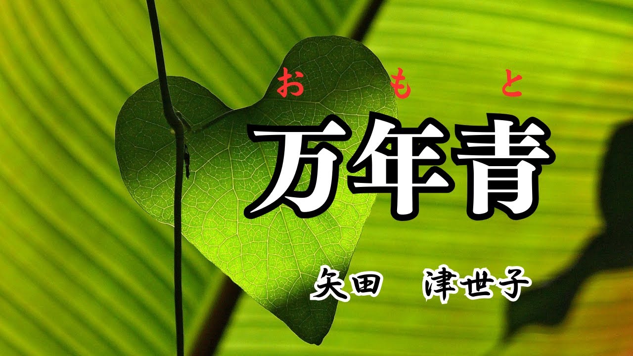 【日本文学の朗読】矢田津世子『万年青』～笑い上戸の福子さん、並み居る兄嫁たちの資産家大姑に対する愛情表現に、ただ驚くばかりなのでした～