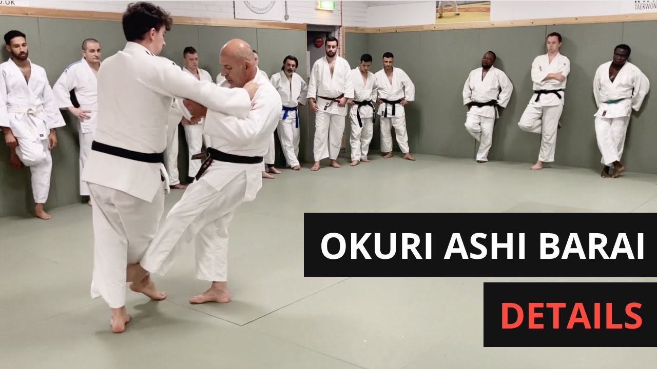 Okuriashi Barai stepping details