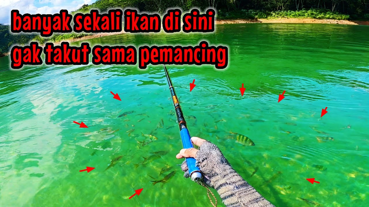 SAKING BANYAKNYA IKAN DISINI GAK TAKUT SAMA PEMANCING || mancing ikan nila di waduk tugu & ngantang