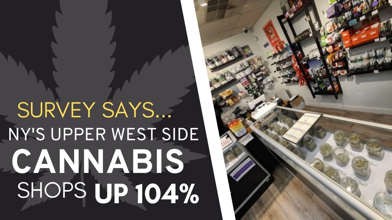 Fearless Growth: 104% Surge in Black Market Weed Shops