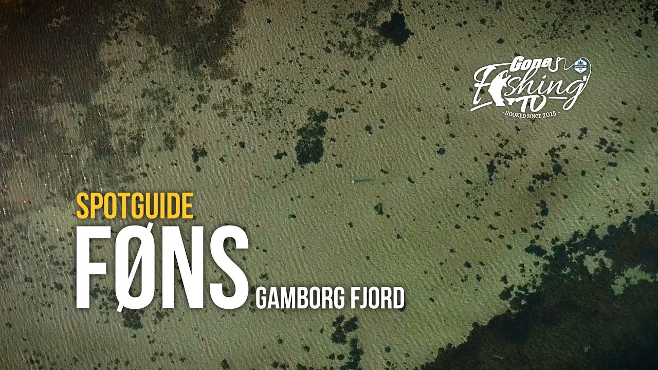 Spotguide: Føns - Gamborg Fjord // GFTV