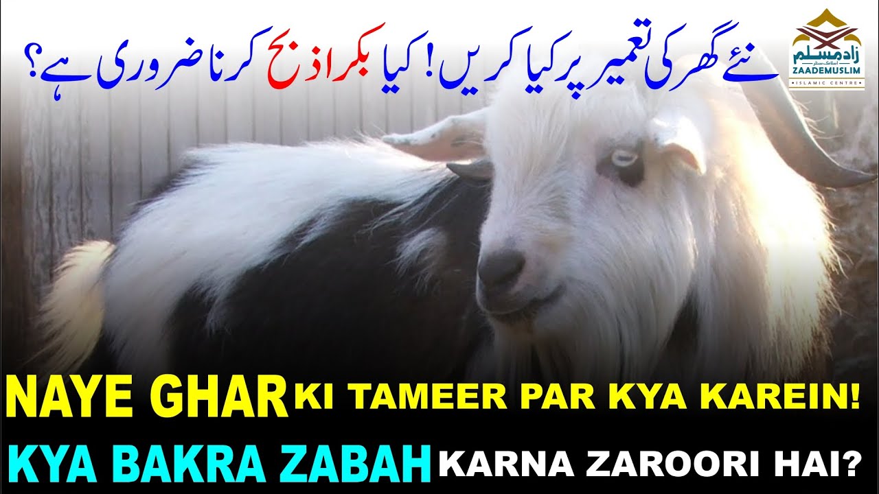 Naye ghar ki tameer par bakra zabah karna || نئےگھر کی تعمیر پربکراذبح کرنا