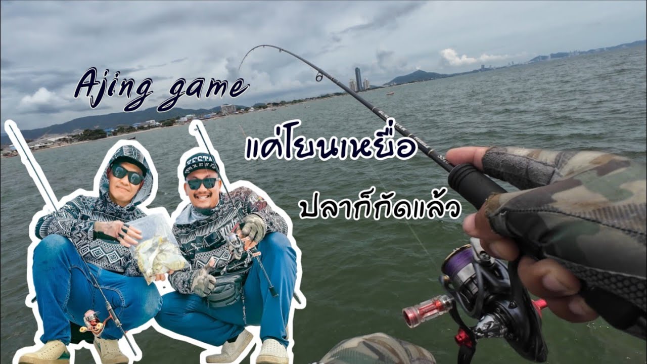 ชั่วโมงเดียว ปลากัดดี กัดยับ [ สะพานหาดวอนนภา ] #บางแสน #aji #ajinggame 