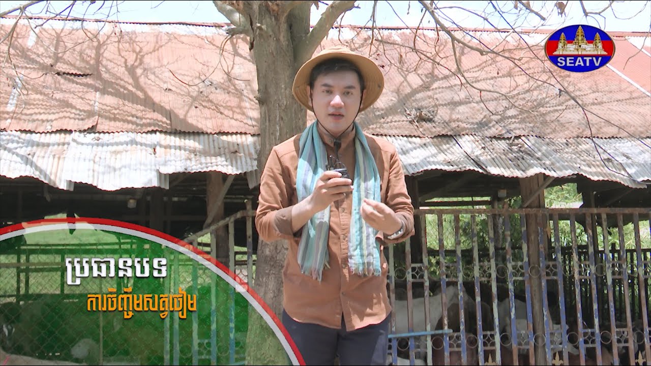 កសិកម្ម និងអភិវឌ្ឍន៍ជនបទ - Agriculture and Rural Development| ការចិញ្ចឹមសត្វចៀម - Sheep [EPS09]