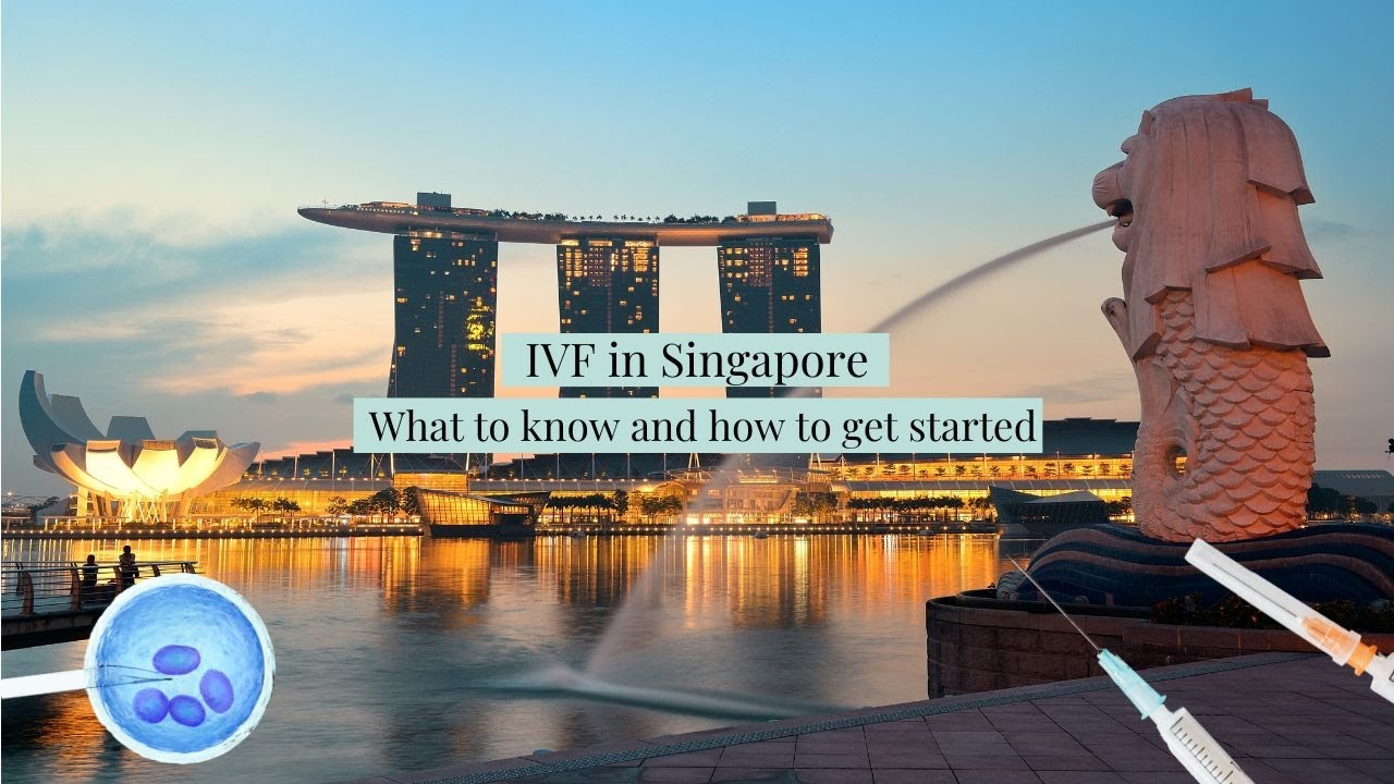 IVF in Singapore 🇸🇬What to know and how to get started 💥