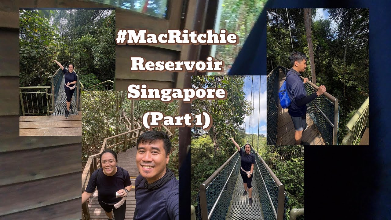 MacRitchie Reservoir Singapore Part 1
