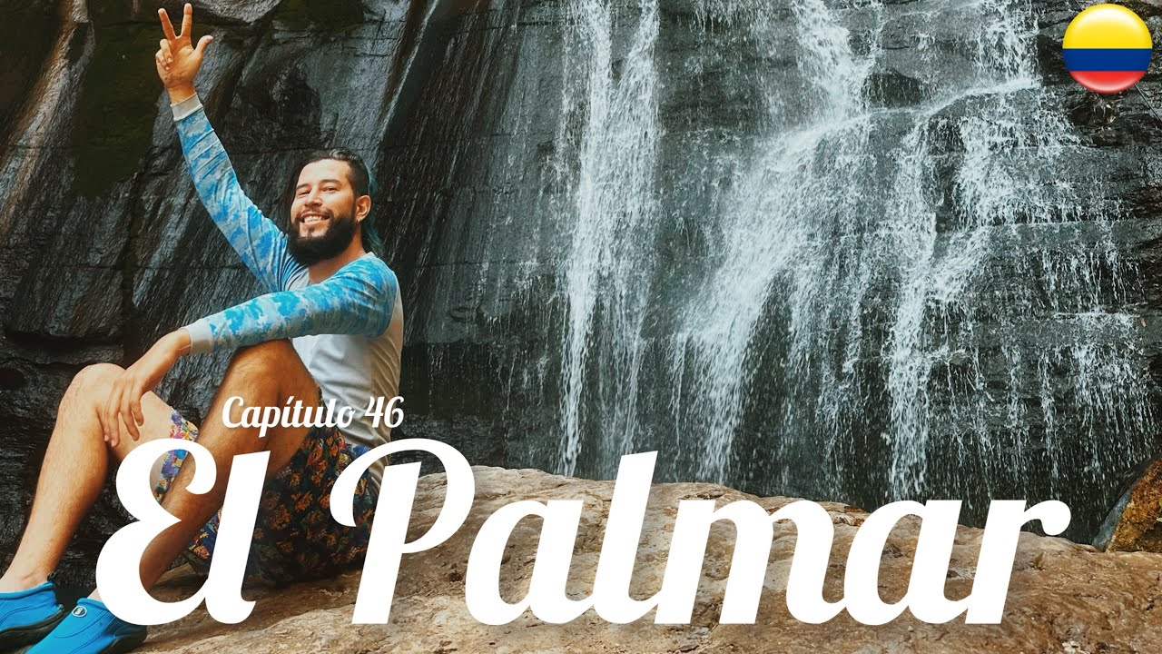 EL ARBOL MAS GRANDE DEL PAÍS ESTA AQUI  🇨🇴 Ruta 87 Capítulo 46 El Palmar Santander 