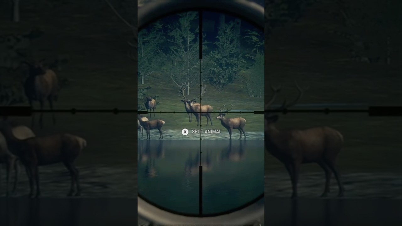 Diamond Red Deer!! 