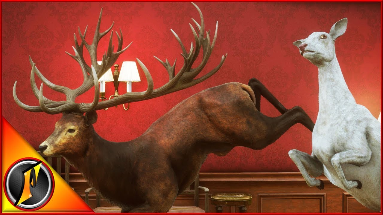 Red Deer Guide | theHunter Call of the Wild