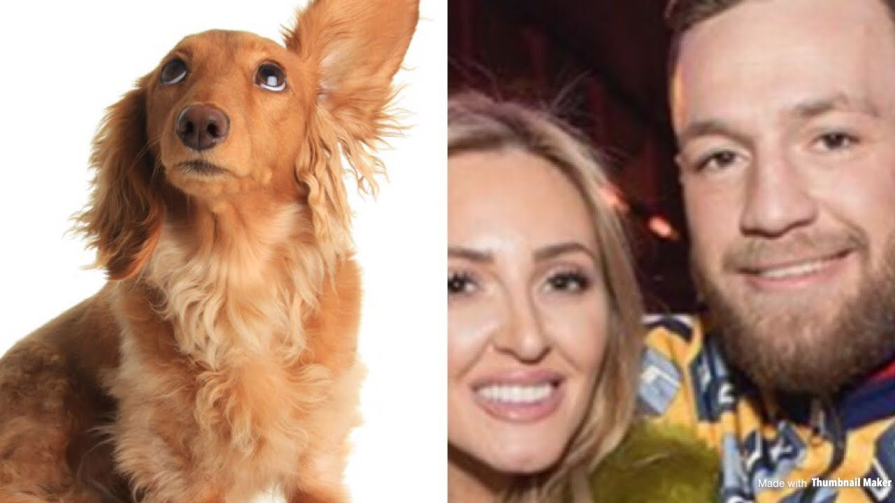 Conor McGregor&rsquo;s Sister Voicemail war with Groomers