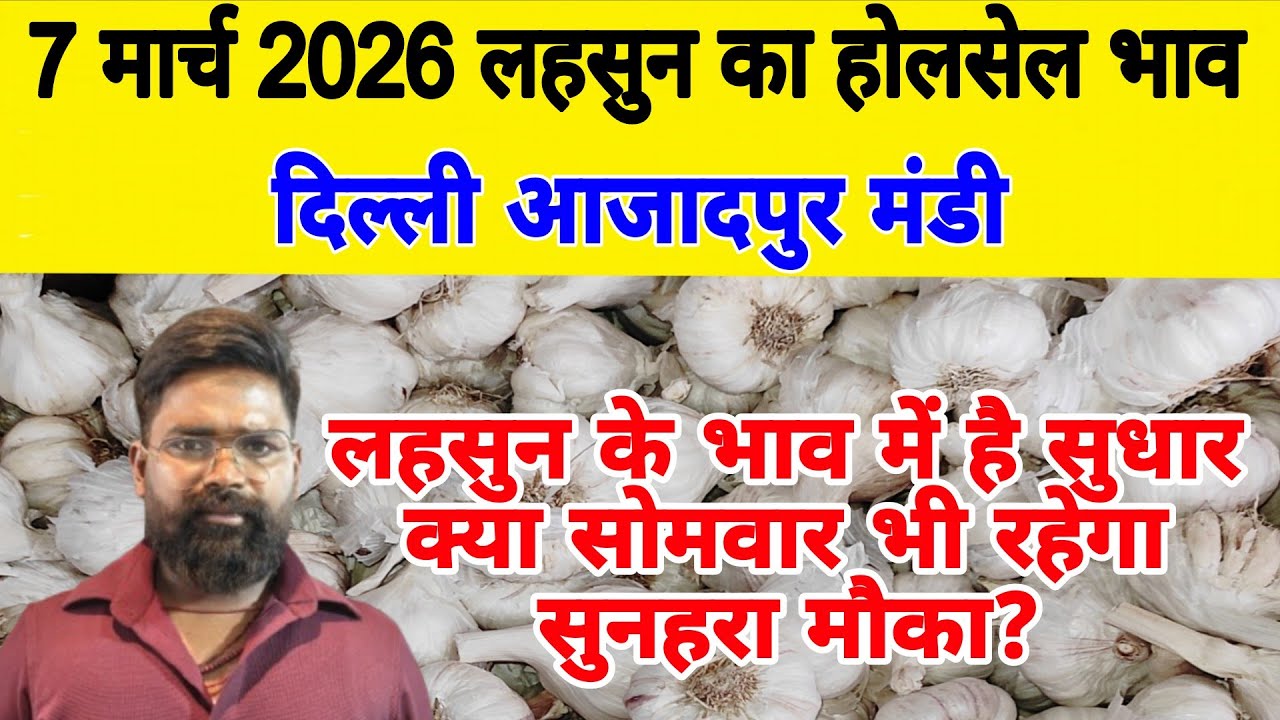 7 March 2026 | Today Garlic Market Price | Garlic Price The Shocking Prediction #mandirates