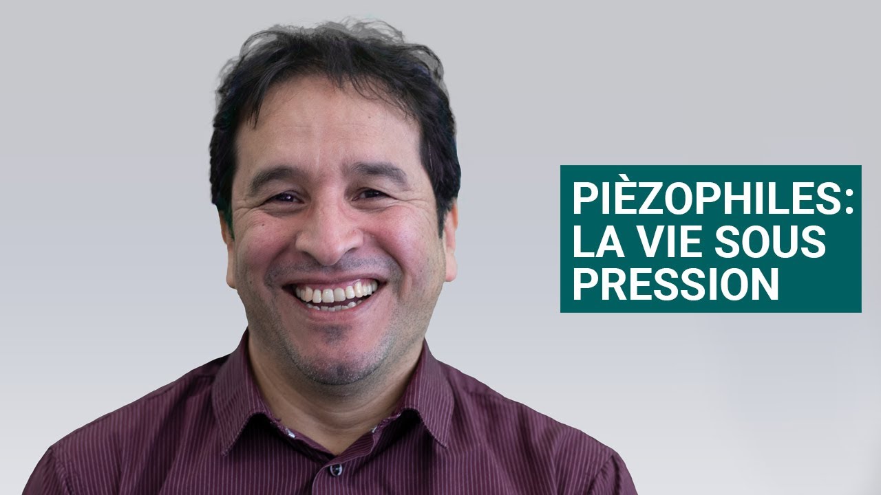 PIEZOPHILES: LIFE UNDER PRESSURE