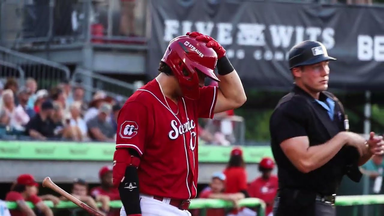 2025 MiLB Reel