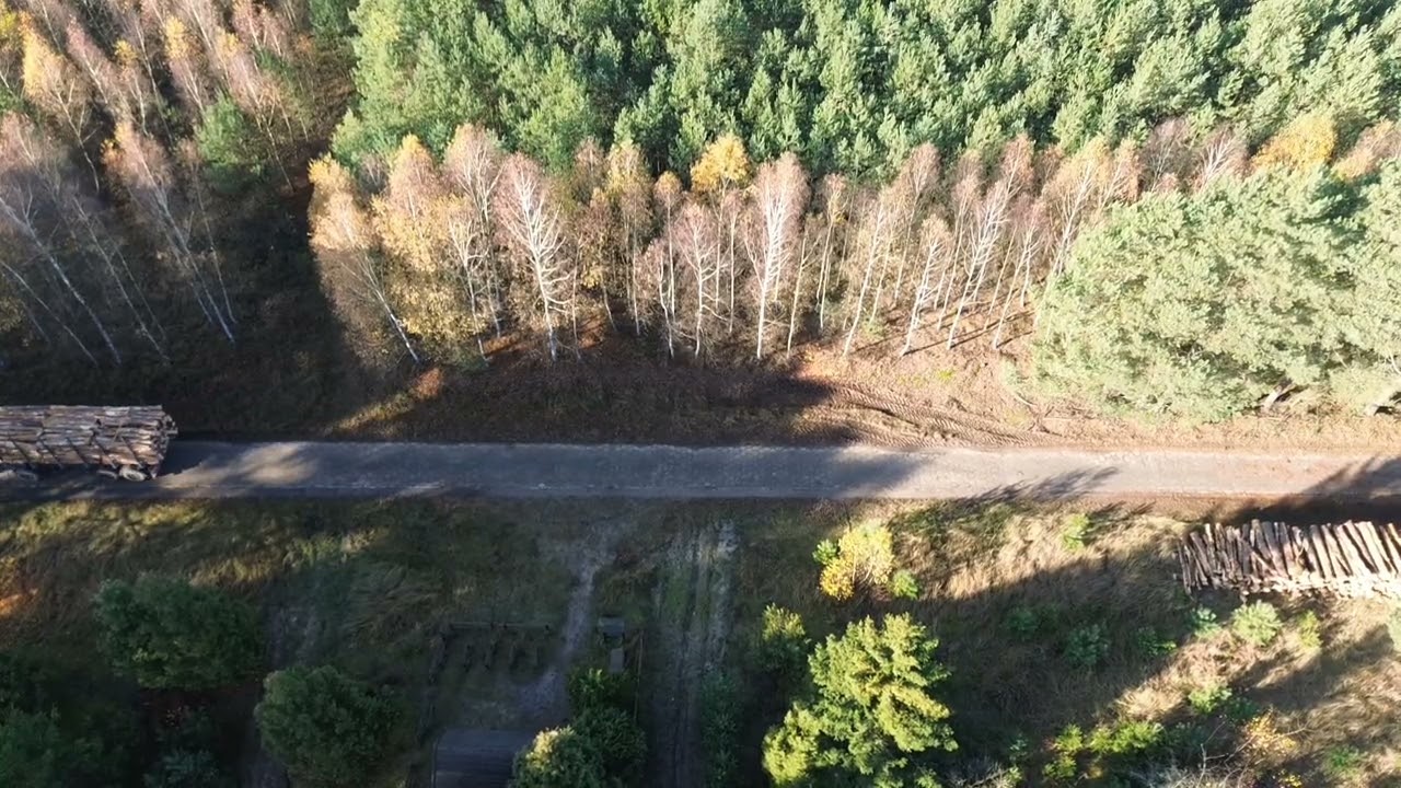 Wyjazd na pełno sosna s2a Bydgoszcz - Bielice (trelinka) 