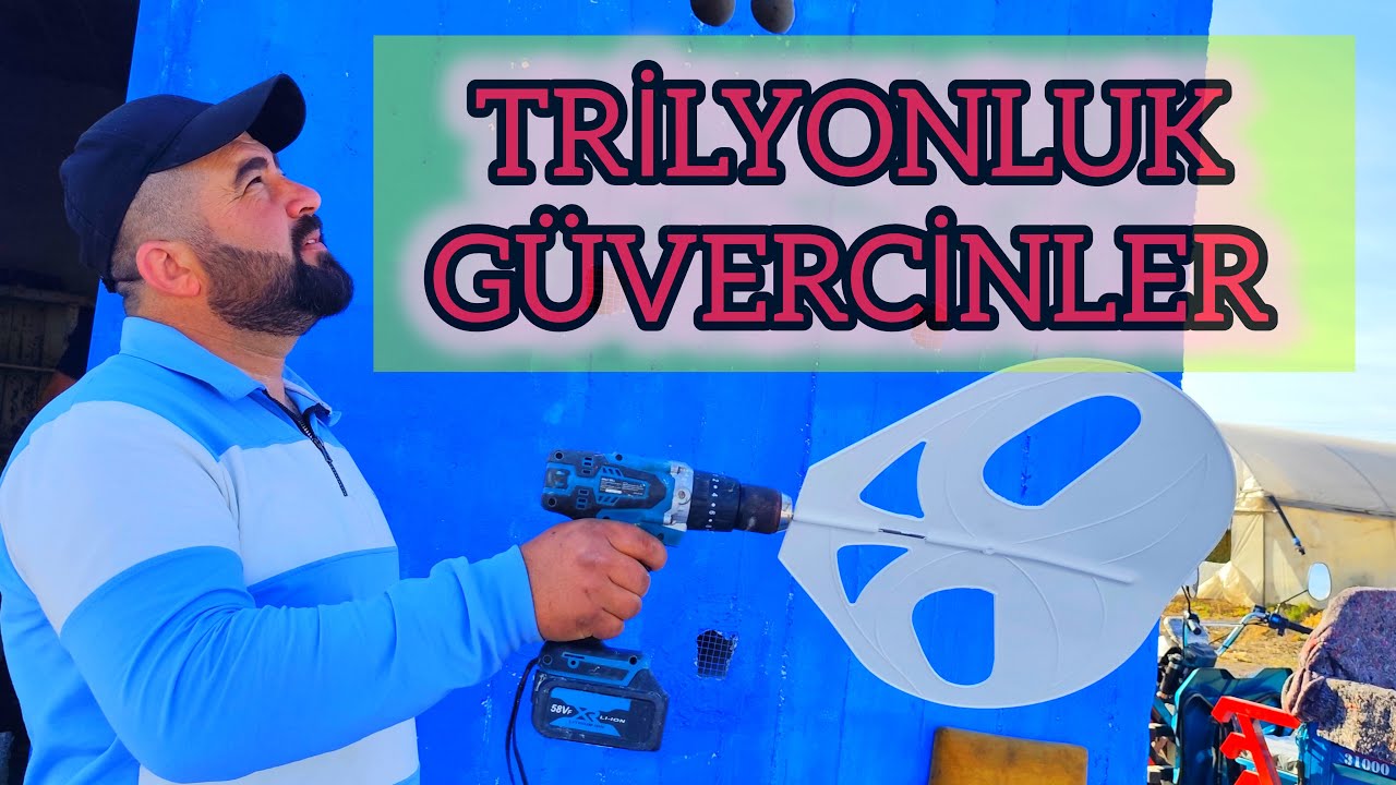 ÇILGIN SALONUN YENİ GÜVERCİN BARAKASİ TRİLYONLUK KUŞLARİ !?