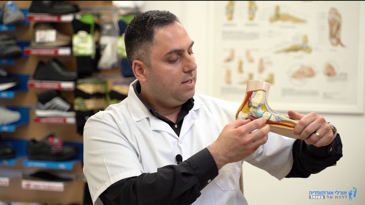 מה זה פלטפוס?