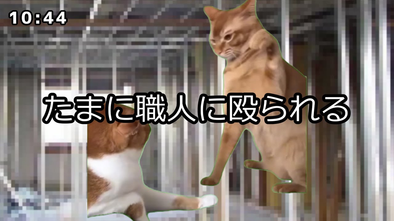 施工管理士の1日【 #猫ミーム 】