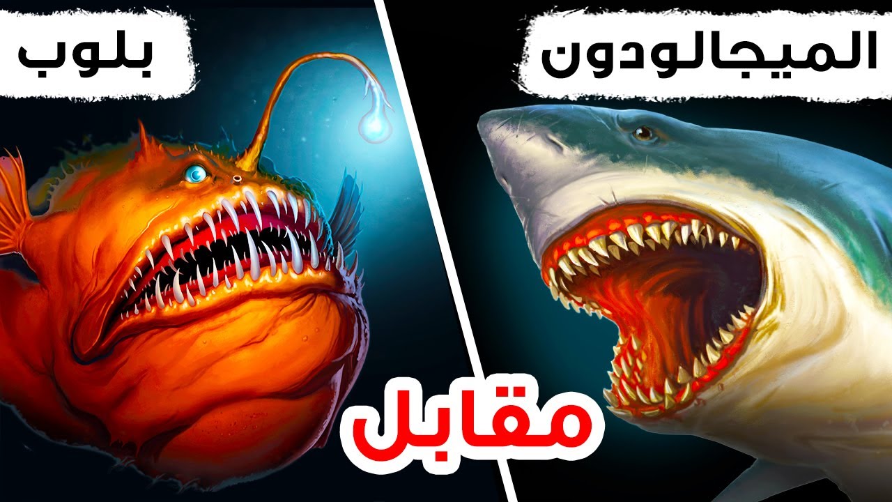 الميجالودون : حقيقة أم خيال؟ استكشاف حقيقة القرش القديم